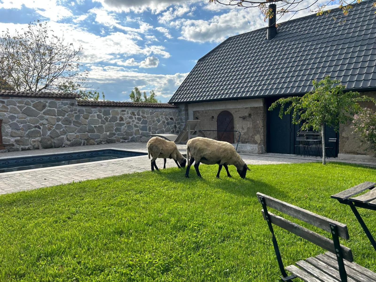 Hotel Dvor 13 Hokovce Zewnętrze zdjęcie